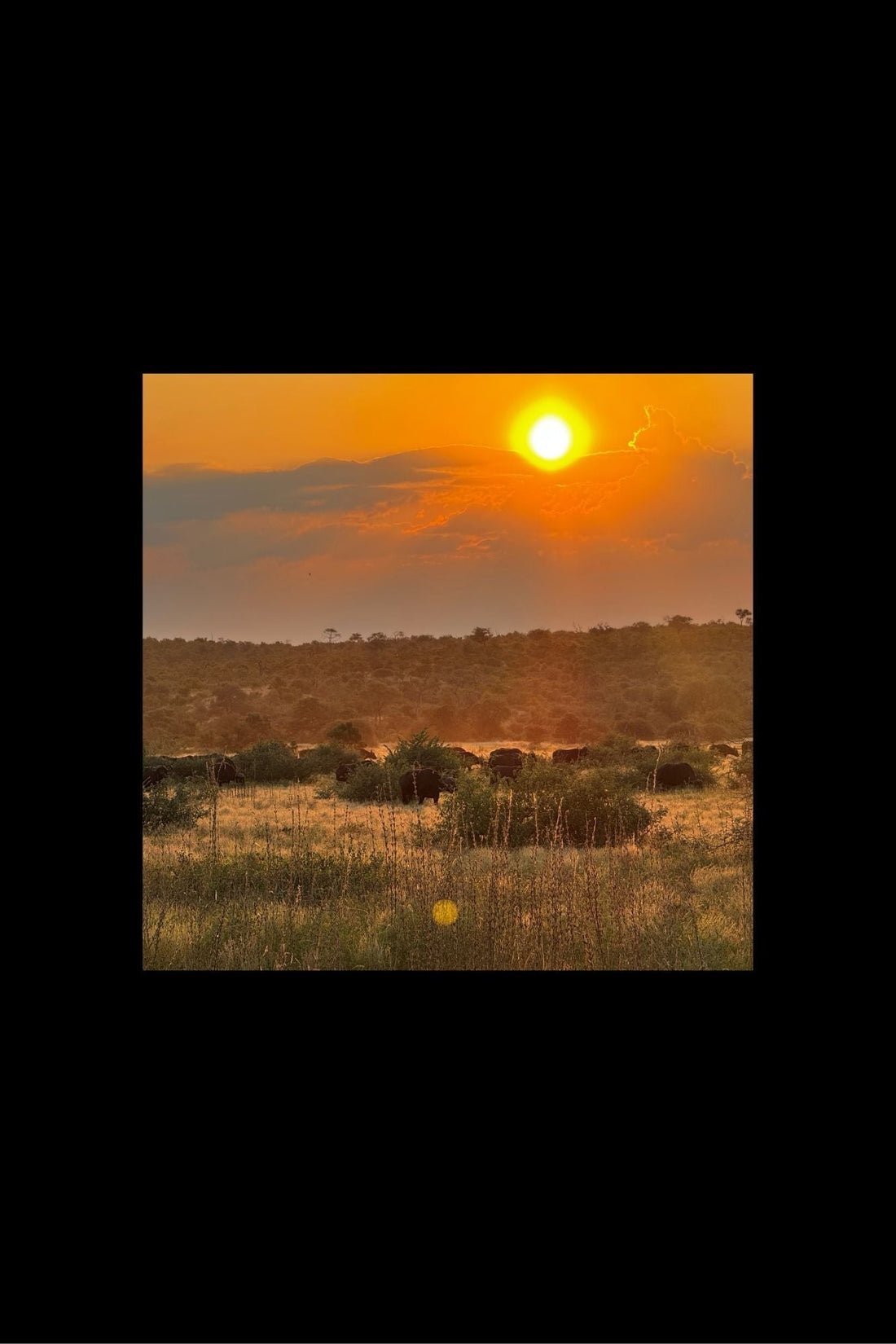 What makes Kruger the best wildlife park in Africa?