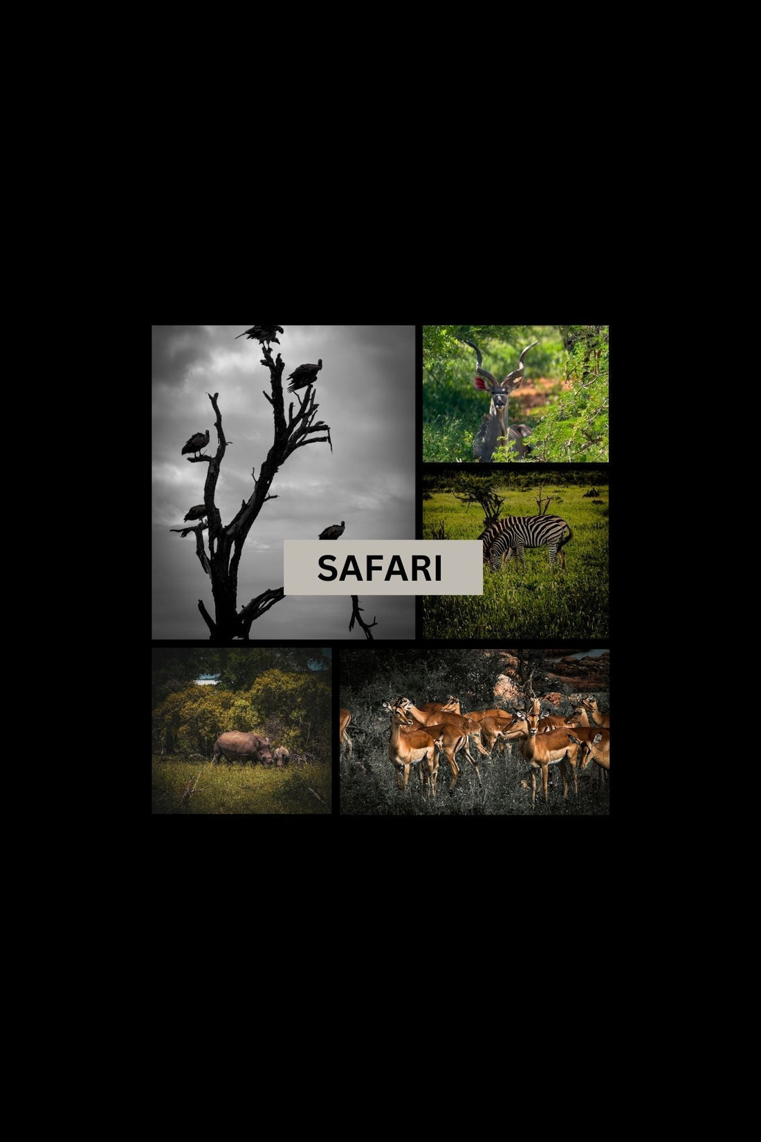 What is the best time to visit Kruger National Park?