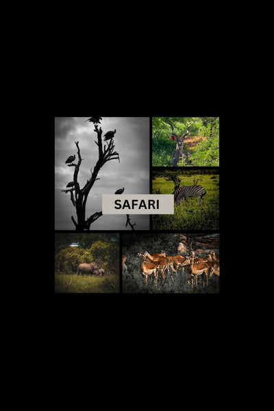 What is the best time to visit Kruger National Park?