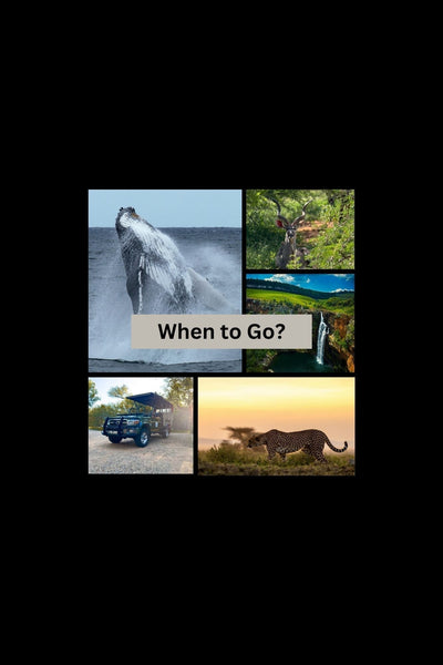 What is the best time of the year to visit South Africa?