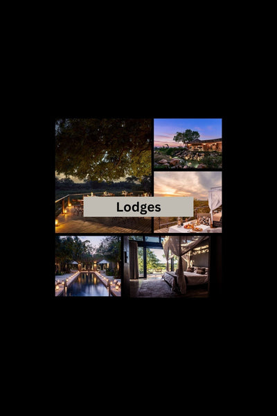 What Are the Best Safari Lodges in Kruger National Park?