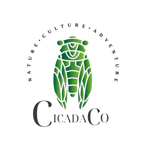 CicadaCo