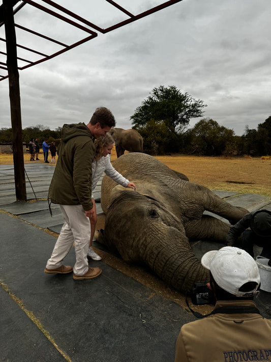 Add Elephant Encounters (+1 Day)